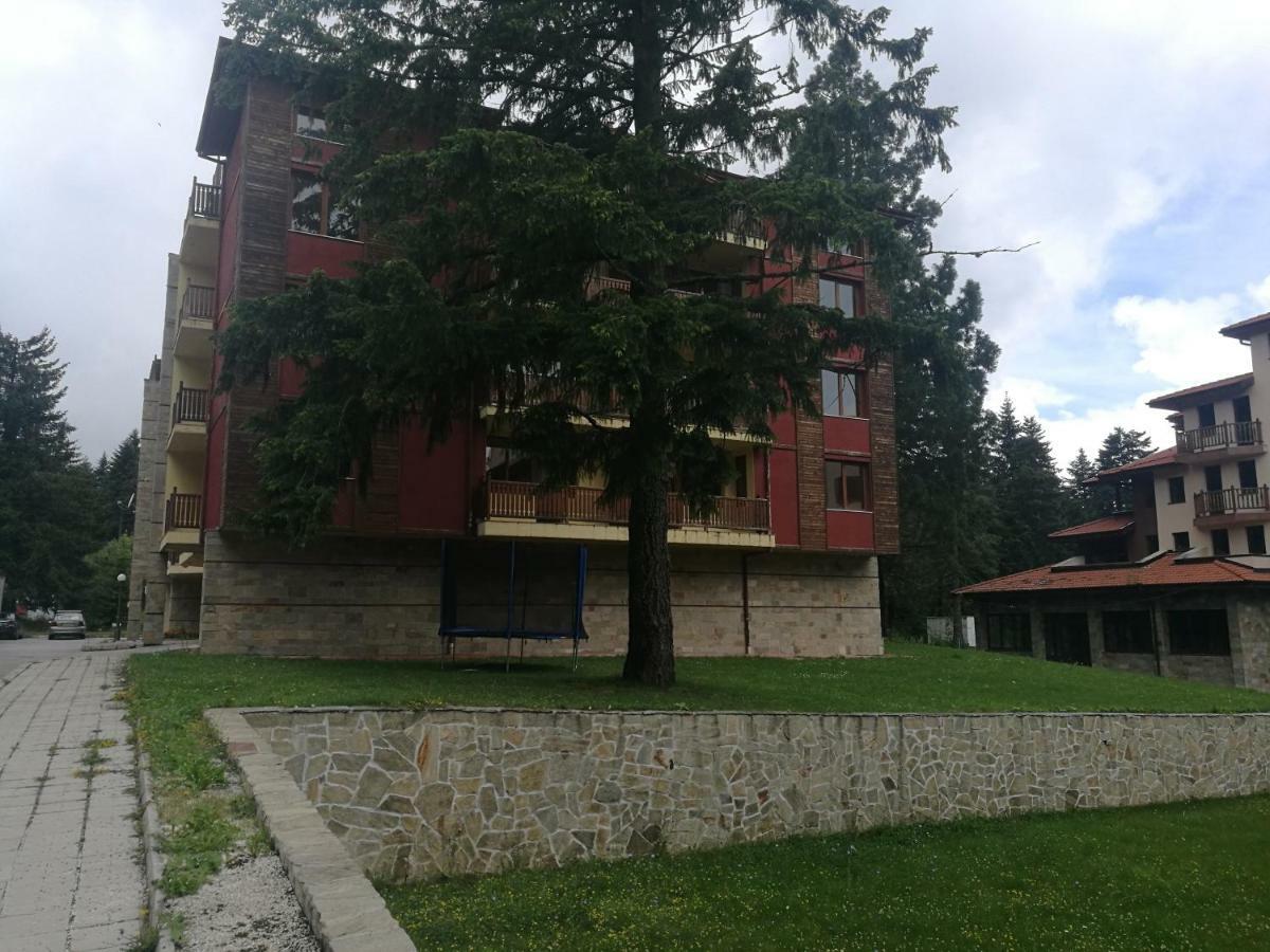 Luxury Apartament In "Sequoia" 2 Borovets Ngoại thất bức ảnh