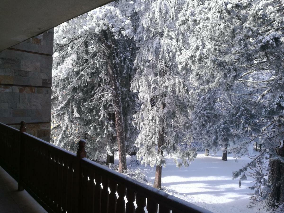 Luxury Apartament In "Sequoia" 2 Borovets Ngoại thất bức ảnh